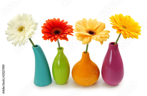 Naklejka - mata magnetyczna na lodówkę Flowers in vases isolated on white background