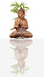 Buddha, Spiegelung