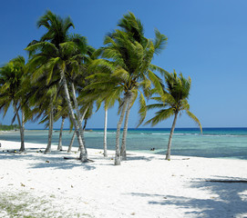 Poster - Playa Giron, Caribbean Sea, Cuba