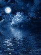 © B@rmaley - moon with nightly clouds over the water