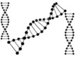 DNA String Vector 01