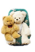Bears In An Automobile Armchair