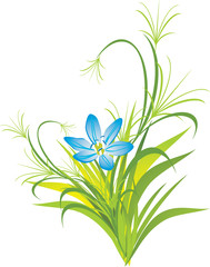 Wall Mural - Grass and spring flower. Vector