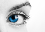 Fototapeta  - Blue eye