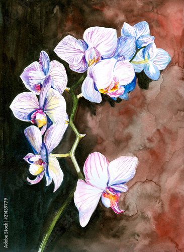 Naklejka - mata magnetyczna na lodówkę Orchid watercolor painted.