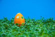 Easter eggs on cress