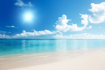 Wall Mural - sand and caribbean sea