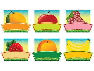 Fruit labels vector