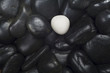 © Thomas Bethge - black pebbles, one white stone