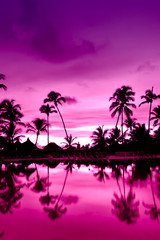 Sticker - Pink and red sunset over sea beach with palms