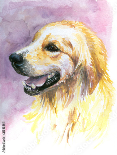 Naklejka - mata magnetyczna na lodówkę Labrador golden retriever watercolor painted.