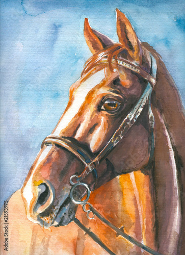 Naklejka na szybę Brown horse watercolor painted.