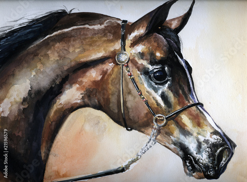 Fototapeta na wymiar Arabian horse watercolor painted