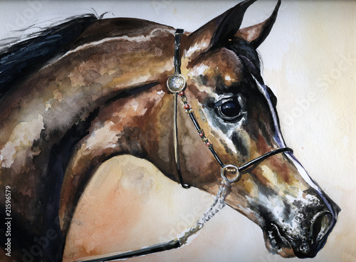 Naklejka na kafelki Arabian horse watercolor painted