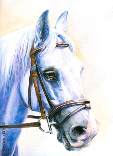 Naklejka na szybę Gray horse watercolor painted.