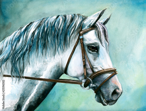 Obraz w ramie Gray horse watercolor painted.