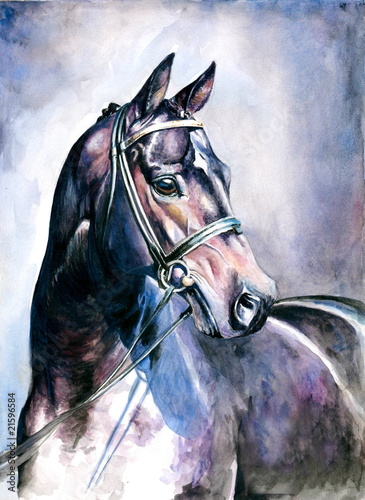 Fototapeta na wymiar Black horse watercolor painted.