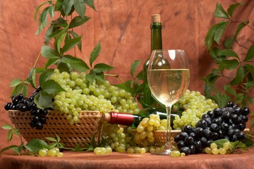 Wall Mural - White dry wine, fresh clusters of a grapes