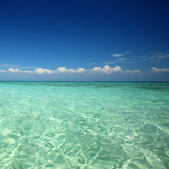 Wall Mural - tropical beach