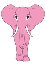 Pink Elephant Isolated