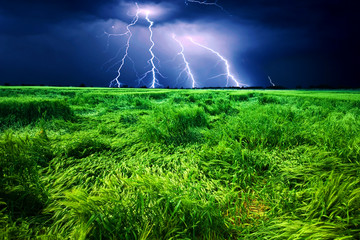 Canvas Print - Storm over wheat field