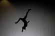 acrobatic backflip silhouette