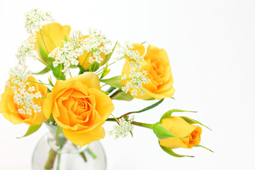 Wall Mural - yellow rose