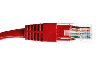 Poster - Red network plug