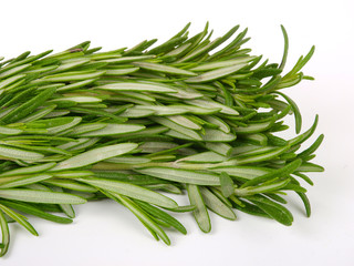 Rosemary herb