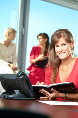 Wall Mural - Young businesswoman writing notes