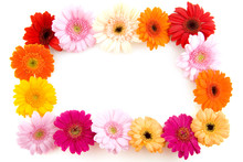 Colorful Flower Frame