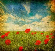 Grunge Poppies Background