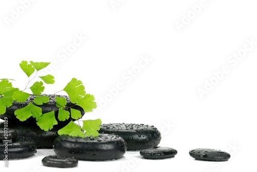 zen stones and leaves