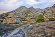© ABUELO RAMIRO - Sierra de la Cabrera. Madrid
