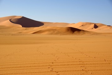 Wall Mural - Dunes de sable, Libye