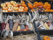 Harvest display
