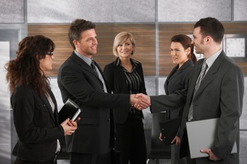 Wall Mural - Businesspeople greeting each other