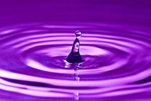 Purple Droplet Splash In  Clean Water