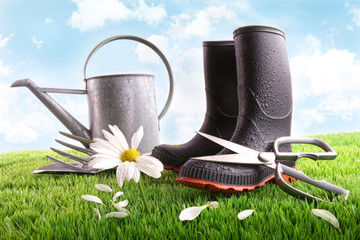 Wall Mural - Boots with watering can and daisy in grass