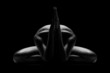 © Fisher Photostudio - Nude human sculpture body abstract