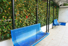 Blue Benches