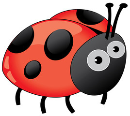 Sticker - ladybug