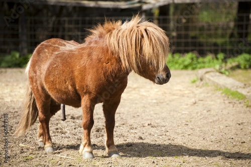 Junger Hengst Fickt Stripperin Junger Hengst Fickt Stripperin