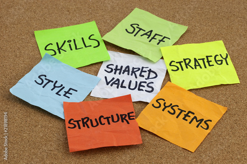 Fotografie, Obraz organizational culture, analysis and development concept