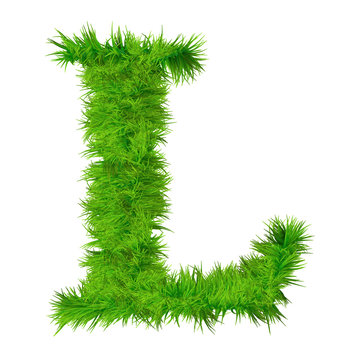 High resolution green grass font isolated o white