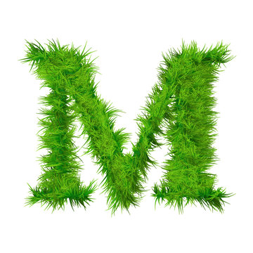 High resolution green grass font isolated o white