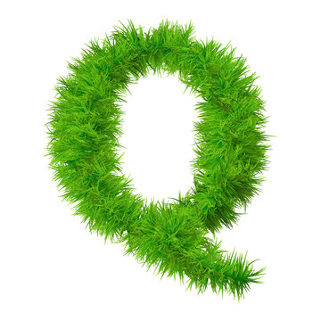 High resolution green grass font isolated o white