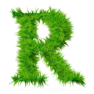 High resolution green grass font isolated o white
