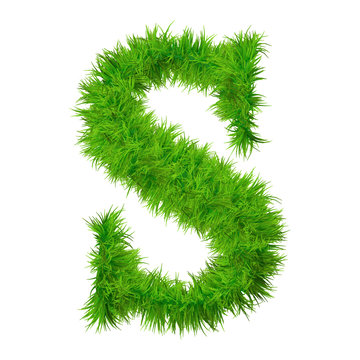High resolution green grass font isolated o white