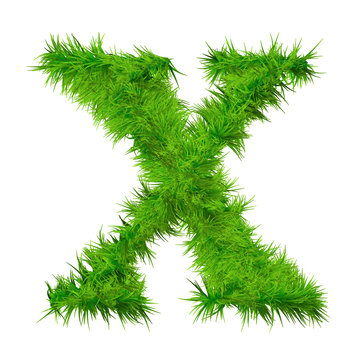 High resolution green grass font isolated o white